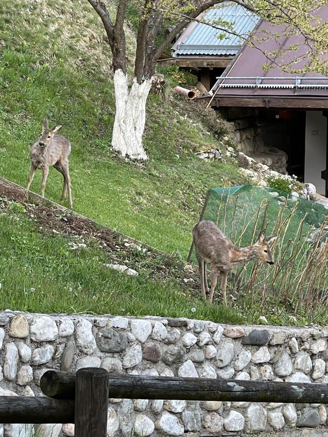 Appartamento In Montagna Venas Экстерьер фото
